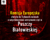 Komisja Europejska złożyła do Trybunału wniosek o natychmiastowe zatrzymanie cięć w Puszczy Białowieskiej