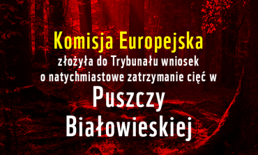 Komisja Europejska złożyła do Trybunału wniosek o natychmiastowe zatrzymanie cięć w Puszczy Białowieskiej