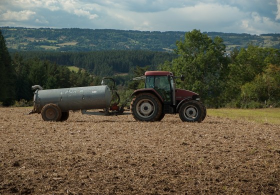 80 proc. upraw ma być objętych ochroną dzięki dystrybucji ubezpieczeń przez Pocztę Polską