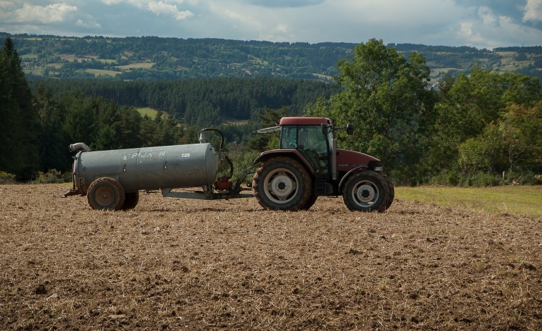 80 proc. upraw ma być objętych ochroną dzięki dystrybucji ubezpieczeń przez Pocztę Polską