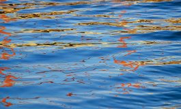 MGMiŻŚ ws. rozporządzenia taryfowego