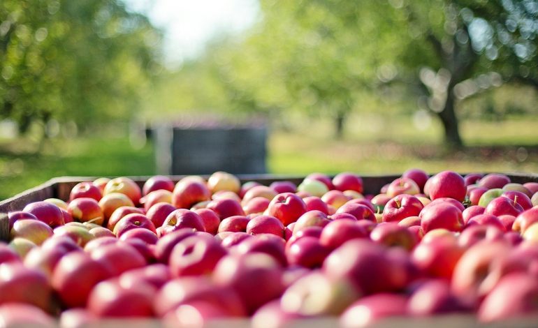 Umowa kontraktacyjna – pomoże czy zaszkodzi?