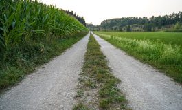 Czy właściciel działki zawsze musi umożliwić sąsiadowi przejazd?
