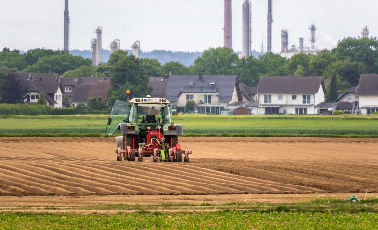 Europejscy rolnicy mają do 2030 roku ograniczyć używanie pestycydów o połowę. Według nich może to zagrozić pozycji europejskiej żywności