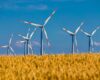 Rozwój farm wiatrowych na Bałtyku może wymagać specustawy. Przyjęte do tej pory regulacje mogą się okazać niewystarczające